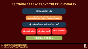 thanh-phan-tham-gia-thi-truong-forex