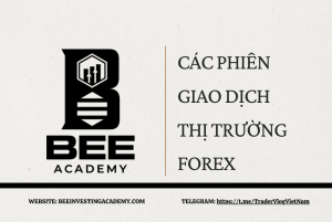 CÁC PHIÊN GIAO DỊCH
