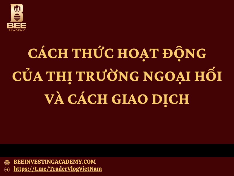 CÁCH THỨC HOẠT ĐỘNG CỦA THỊ TRƯỜNG NGOẠI HỐI