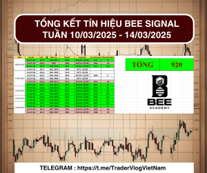 TỔNG KẾT TÍN HIỆU BEE SIGNAL TUẦN 2 THÁNG 3
